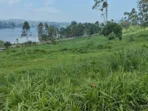 IMG-20260901-WA0107